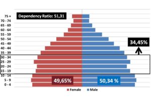 Bonus Demografi Terancam Gagal