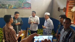 Kemendes PDTT Coba Tingkatkan Nilai Jual Alpukat Pasaman Barat