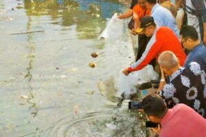Wagub Nasrul Abit Lepas Bibit Ikan, Danau Cimpago Makin Mantap Jadi Objek Wisata Baru di Sumbar