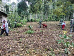 Wujud Kemanunggalan Anggota Pra TMMD: Personil Lakukan Pemupukan di Kebun Jagung