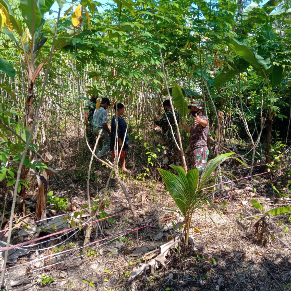 Anggota Satgas TMMD/N ke 111 Berkunjung ke Kebun Ubi Milik Warga