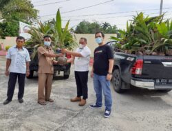 PT Semen Padang Bantu Petani Dharmasraya 1000 Bibit Pohon Kelapa