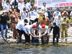 Selamatkan Dari Kepunahan, Gubernur Sumbar Lepas 4 Ribu Ikan Bilih Hasil Pembenihan PT. Semen Padang