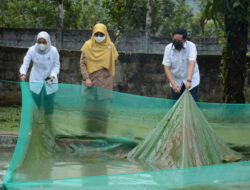Konservasi Ikan Bilih, DKP Sumbar Apresiasi PT Semen Padang