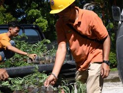 Semen Padang Siapkan 19 Ha Lahan Emplasemen Perusahaan untuk Kaliandra