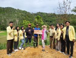 Mahasiswa KKN UNP Tanam Ribuan Bibit Pohon di Jalan Baru Sitanang Menuju Ampalu .