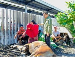 H Beny Saswin Nasrun Bagikan Seribu Paket Daging Qurban ke Masyarakat Lubuk Alung