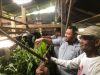 Kambing Etawa Jadi Harapan Baru Ekonomi Warga Kampung Padayo