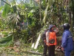 BPBD Pasaman Tangani 9 Lokasi Kejadian Bencana Cuaca Extrem