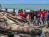 Semen Padang Turun Tangan Bersihkan Kayu di Pantai Parupuk, Wamenhut: Target 3 Hari Bersih!