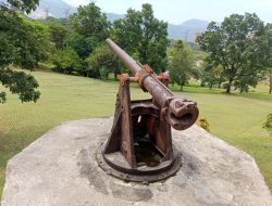 Dua Meriam yang Menolak Pergi: Jejak Jepang di Tengah Hijau Lapangan Golf Semen Padang