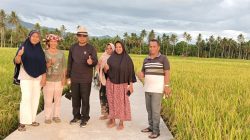 Dukung Swasembada Pangan, Anggota DPRD Sumbar Khairuddin Simanjuntak Bawa Anggaran Rp2,6 Miliar untuk Jalan Usaha Tani di Pasaman