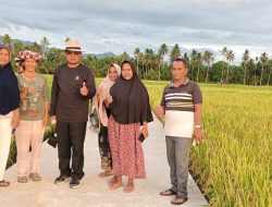 Dukung Swasembada Pangan, Anggota DPRD Sumbar Khairuddin Simanjuntak Bawa Anggaran Rp2,6 Miliar untuk Jalan Usaha Tani di Pasaman