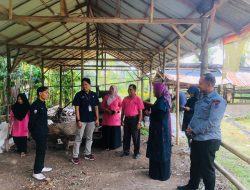 PT Semen Padang Dukung Produksi Pupuk Organik, Targetkan 5 Ton per Bulan di Payakumbuh