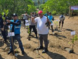 Dukung Pelestarian Pesisir, PT Semen Padang Ikut Serta Dalam Penanaman 1.000 Bibit Mangrove di Sungai Pisang
