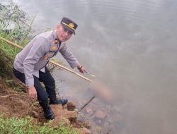 Penemuan Potongan Tubuh Manusia di Padang Pariaman dan Padang Diduga Korban Mutilasi, Polisi Bentuk Tim Gabungan