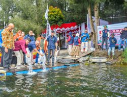 PT Semen Padang Lepaskan 1.500 Ekor Ikan Bilih ke Danau Diatas