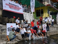 PT Semen Padang Restocking 3000 Ekor Ikan Bilih Hasil Pemijahan di Danau Singkarak