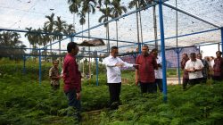 Kolaborasi Hijau: PT Semen Padang dan PPNP Tanam Harapan Lewat 2 Juta Bibit Kaliandra
