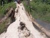 Jembatan Rusak di Saumanganya Ganggu Perekonomian Warga Pagai Utara