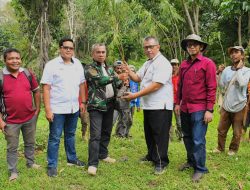 Dibantu Bibit Semen Padang, Kelompok Tani Tanjuang Gadang Tanam 10.000 Kaliandra Merah